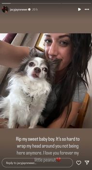 Jacy Jayne's RIP message to her dog. (Picture credits: The NXT star's Instagram Story)